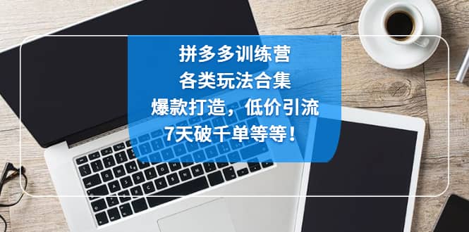 拼多多训练营：各玩法合集，爆款打造，低价引流，7天破千单等等-云创网阁