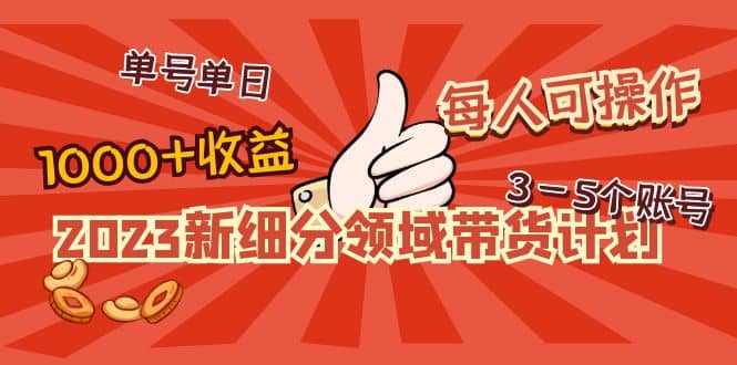 2023新细分领域带货计划：单号单日1000+收益不难，每人可操作3-5个账号-云创网阁