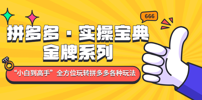 拼多多·实操宝典：金牌系列“小白到高手”带你全方位玩转拼多多各种玩法-云创网阁