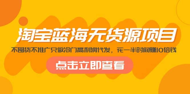 淘宝蓝海无货源项目，不囤货不推广只做冷门高利润代发-云创网阁