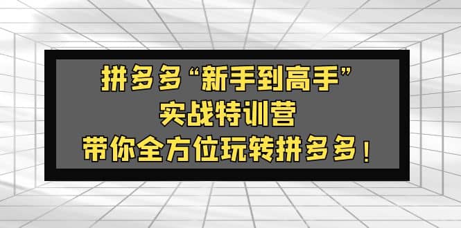 拼多多“新手到高手”实战特训营：带你全方位玩转拼多多-云创网阁