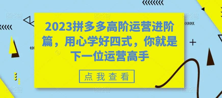 2023拼多多高阶运营进阶篇，用心学好四式，你就是下一位运营高手-云创网阁