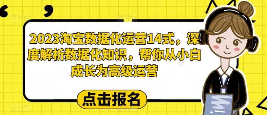 2023淘宝数据化-运营 14式，深度解析数据化知识，帮你从小白成长为高级运营-云创网阁