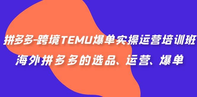 拼多多-跨境TEMU爆单实操运营培训班，海外拼多多的选品、运营、爆单-云创网阁