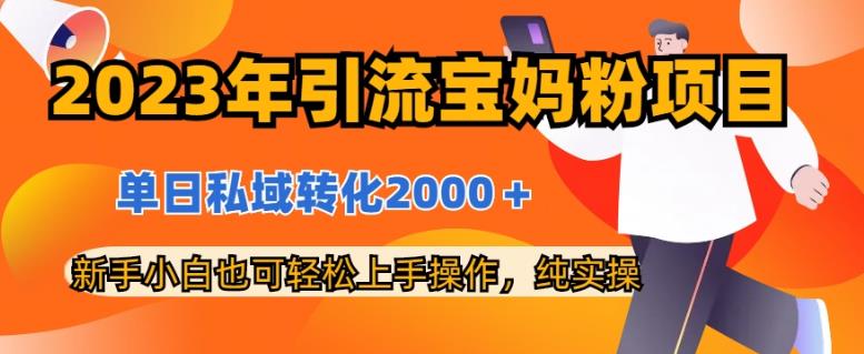 2023年引流宝妈粉项目，单日私域转化2000＋，新手小白也可轻松上手操作，纯实操-云创网阁