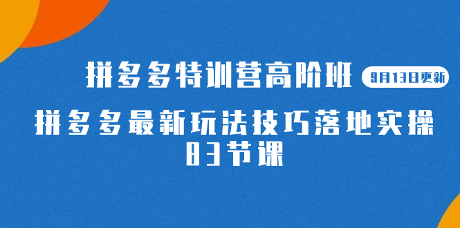 2023拼多多·特训营高阶班【9月13日更新】拼多多最新玩法技巧落地实操-83节-云创网阁