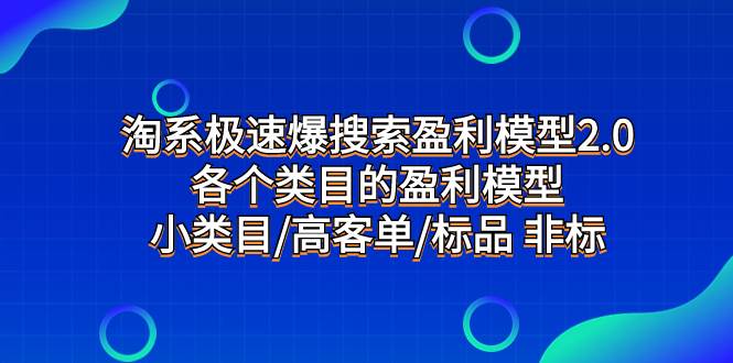 淘系极速爆搜索盈利模型2.0，各个类目的盈利模型，小类目/高客单/标品 非标-云创网阁