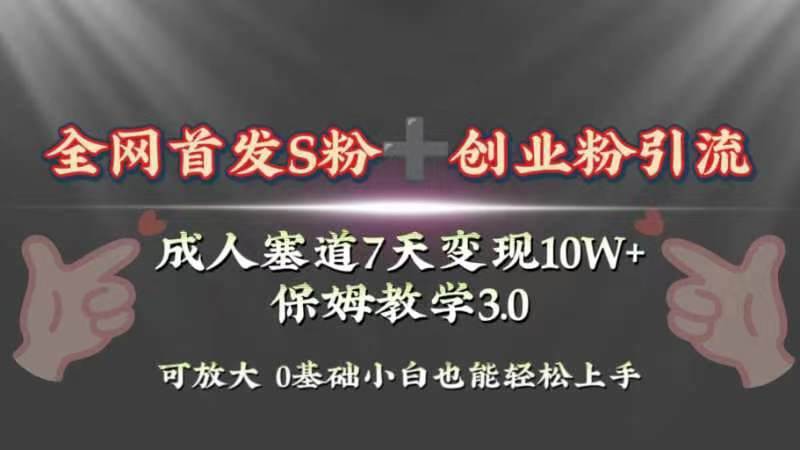 全网首发s粉加创业粉引流变现，成人用品赛道7天变现10w+保姆教学3.0-云创网阁