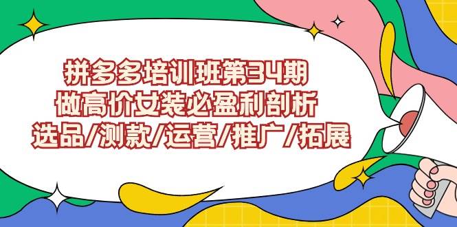 拼多多培训班第34期：做高价女装必盈利剖析  选品/测款/运营/推广/拓展-云创网阁