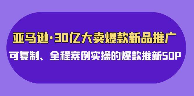 亚马逊30亿·大卖爆款新品推广，可复制、全程案例实操的爆款推新SOP-云创网阁