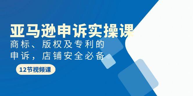 亚马逊-申诉实战课，商标、版权及专利的申诉，店铺安全必备-云创网阁