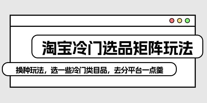 淘宝冷门选品矩阵玩法：换种玩法，选一些冷门类目品，去分平台一点羹-云创网阁