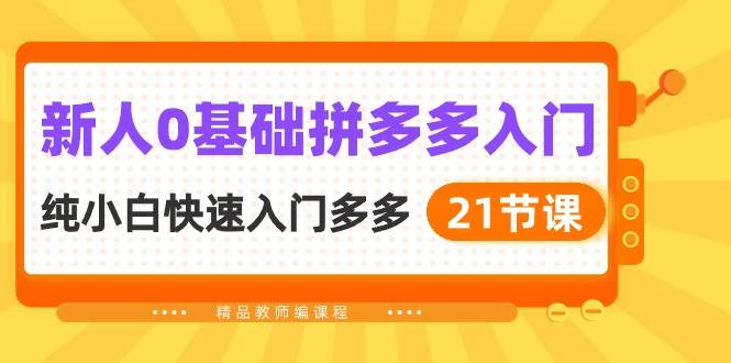 新人0基础拼多多入门，纯小白快速入门多多（21节课）-云创网阁