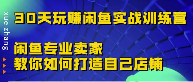 30天玩赚闲鱼实战训练营，闲鱼专业卖家教你如何打造自己店铺￼-云创网阁