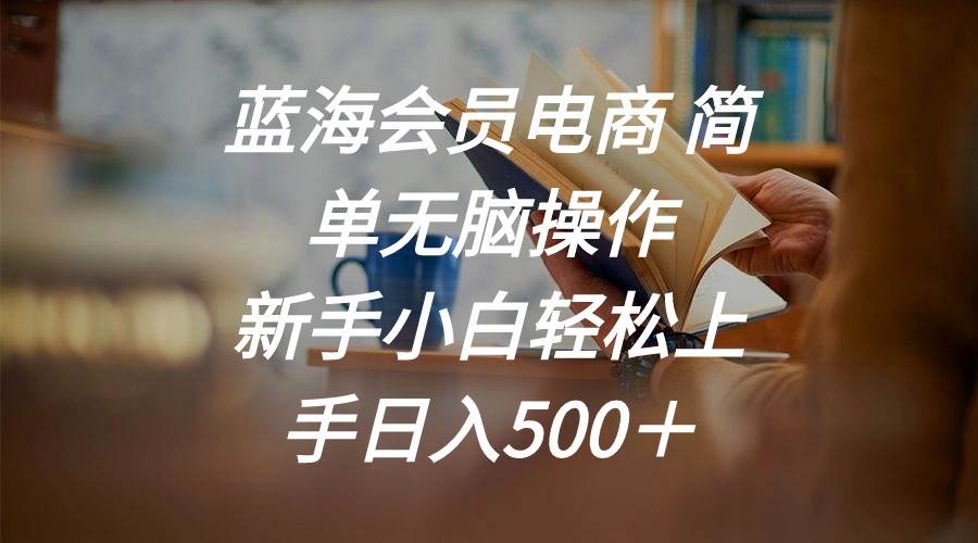 蓝海会员电商 简单无脑操作 新手小白轻松上手日入500＋-云创网阁