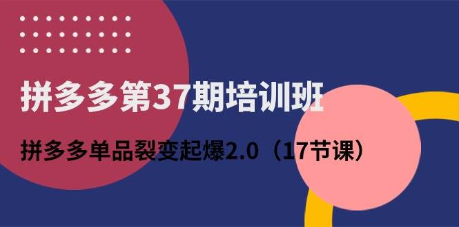 拼多多第37期培训班：拼多多单品裂变起爆2.0（17节课）-云创网阁