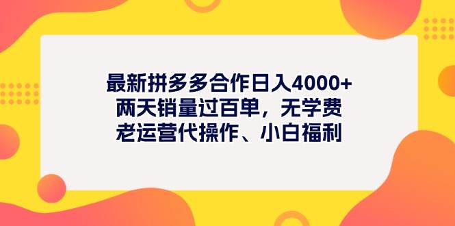 最新拼多多项目日入4000+两天销量过百单，无学费、老运营代操作、小白福利-云创网阁