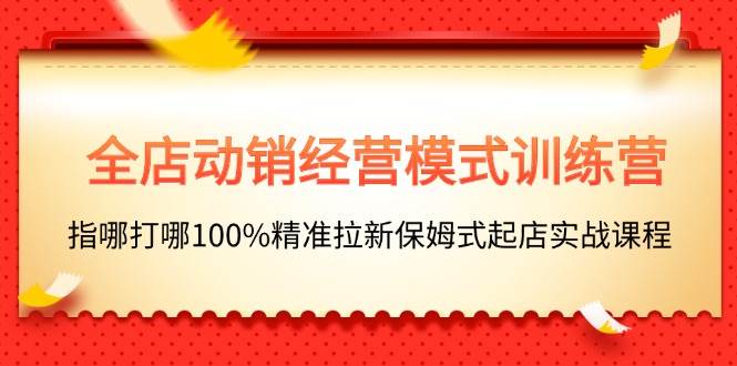 全店动销-经营模式训练营，指哪打哪100%精准拉新保姆式起店实战课程-云创网阁