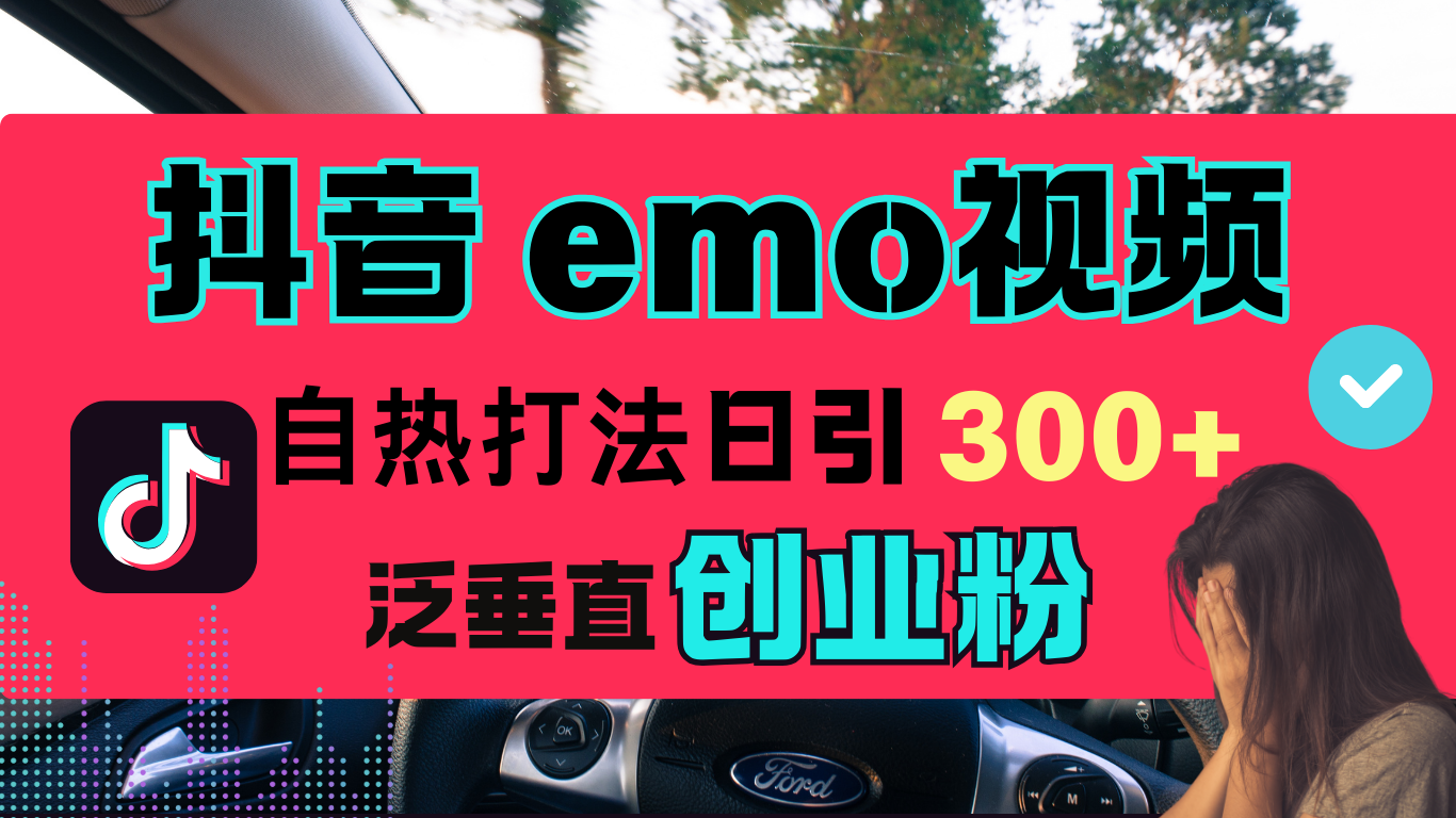 抖音“EMO视频”自热流打法，日引300+泛垂直创业粉-云创网阁