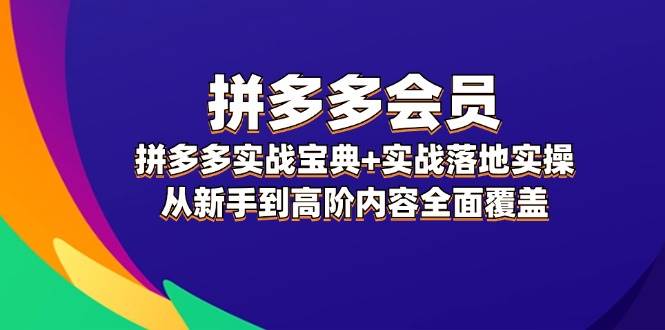 拼多多 会员，拼多多实战宝典+实战落地实操，从新手到高阶内容全面覆盖-云创网阁