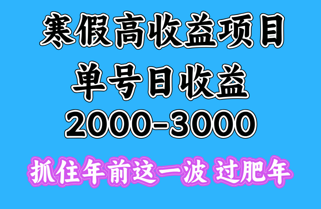 寒假期间一天收益2000-3000+，抓住年前这一波-云创网阁