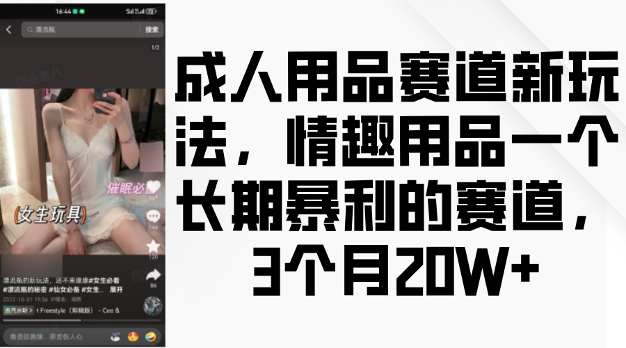 情趣用品一个长期暴利的赛道，成人用品赛道新玩法，3个月20W+-云创网阁