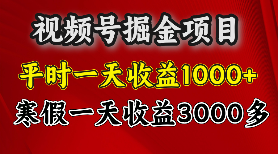 视频号掘金项目，寒假一天收益3000多-云创网阁