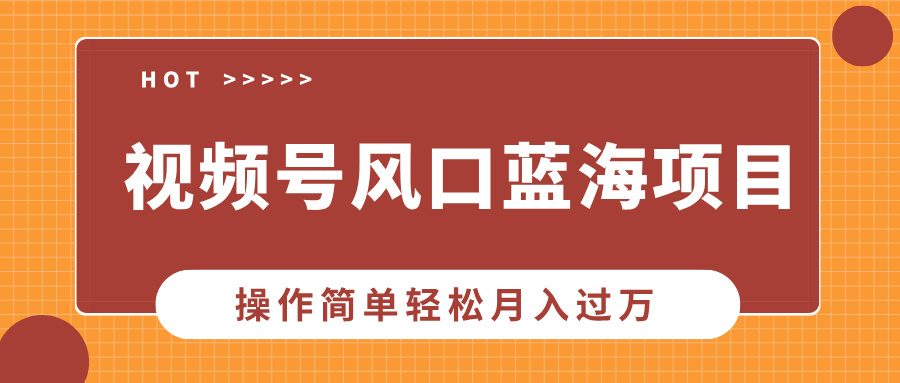 视频号风口蓝海项目，中老年人的流量密码，操作简单轻松月入过万-云创网阁