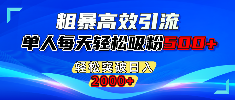 粗暴高效引流,单人每天轻松吸粉500+,轻松突破日入2000+-云创网阁